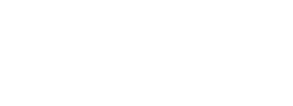 Logo Czech Republic – The Country For The Future